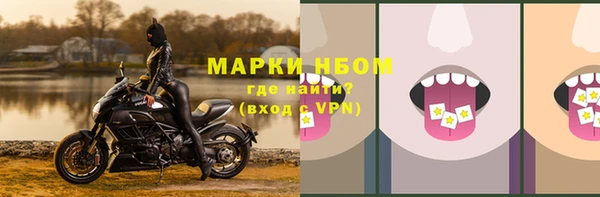 винт Абаза