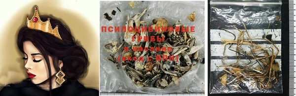 apvp Пересвет