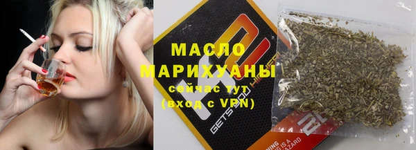 гашик Алексин