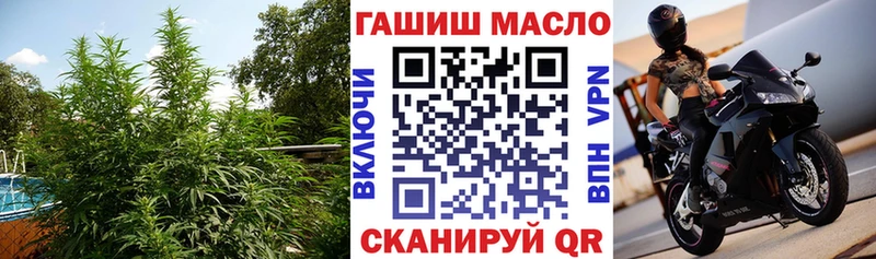 маркетплейс наркотические препараты  Полевской  Дистиллят ТГК THC oil  как найти   kraken как войти 