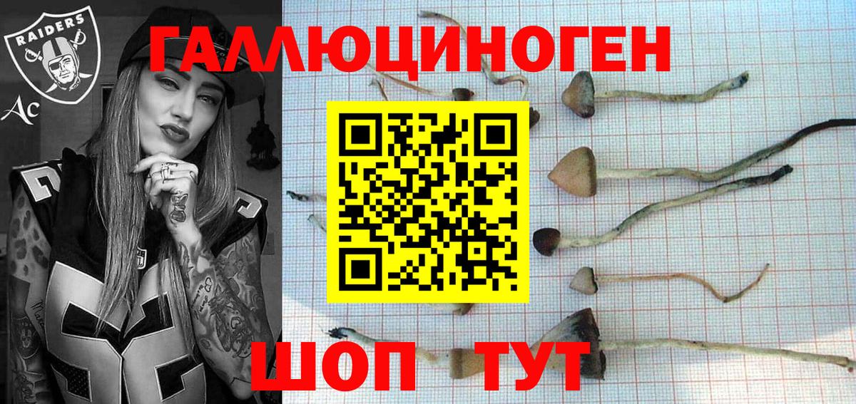 Полевской  Галлюциногенные грибы Psilocybe  Вход с VPN 